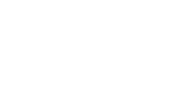 Brandolino Group Logo